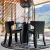 Modern Design Dining Chair with Stainless Steel Leg and 510*430*780 Size for Hotel and Restaurant video